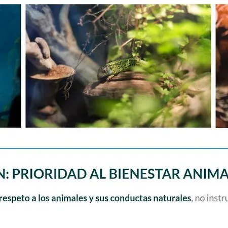 Playa Del Puntal Villaviciosa Asturias Apartamento Primera Linea Playa