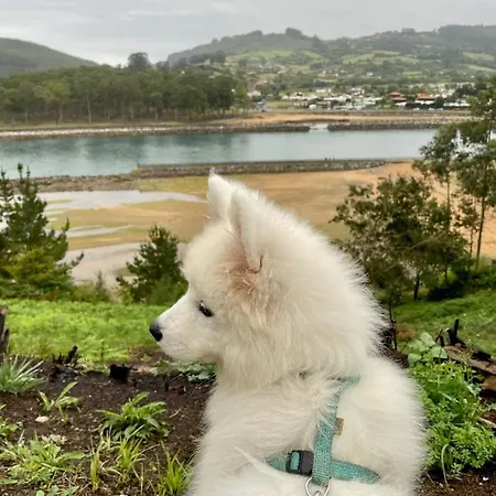 Playa Del Puntal Villaviciosa Asturias Apartamento Primera Linea Playa Appartement *